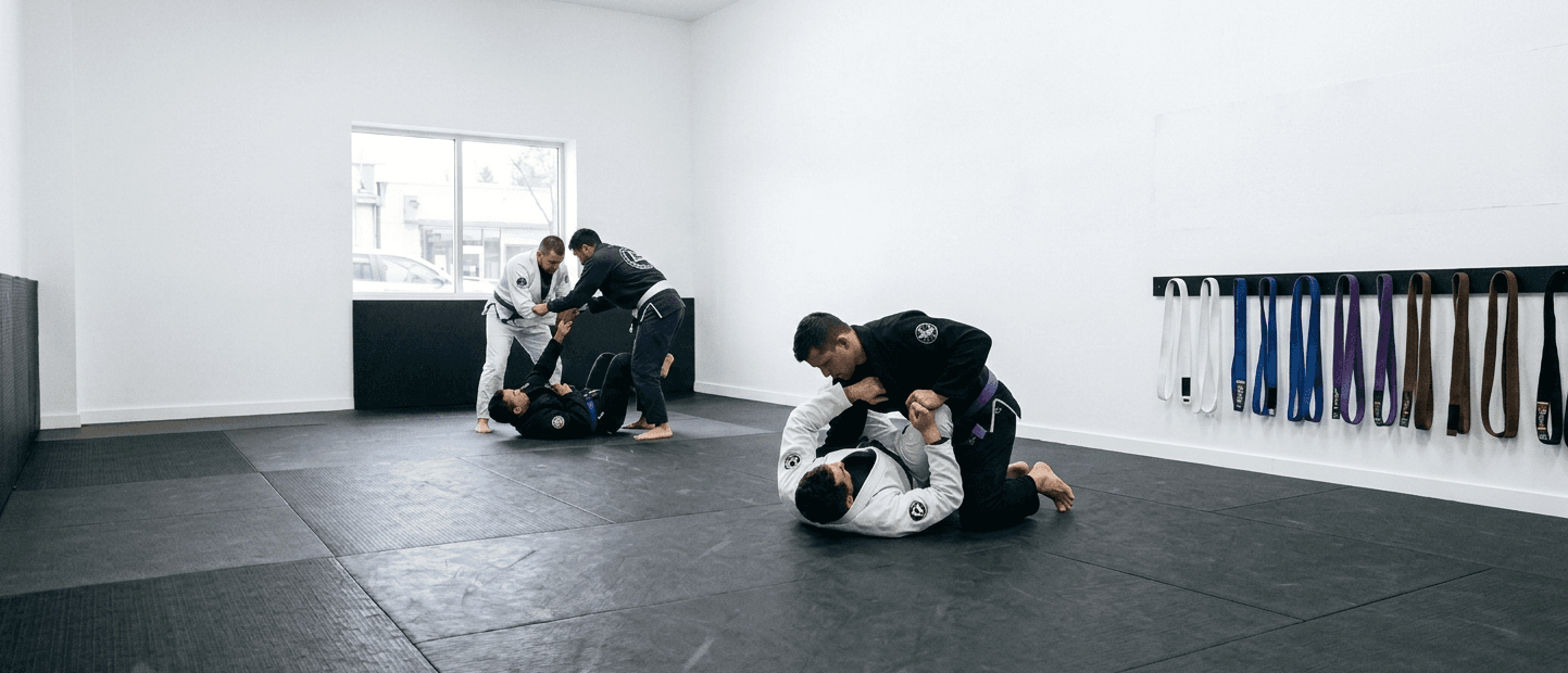 BJJ Performance Coaching – Fortis Salutis Reinheim